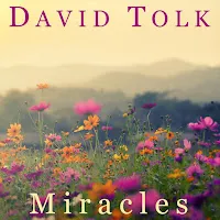 David Tolk — Miracles — обложка
